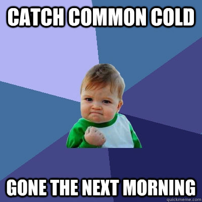 catch common cold gone the next morning - Success Kid