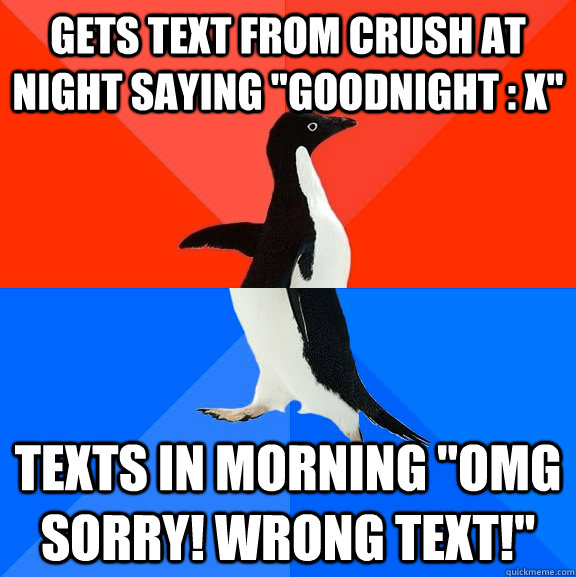 gets text from crush at night saying goodnight x texts i - Socially Awesome Awkward Penguin