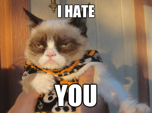 i hate you -