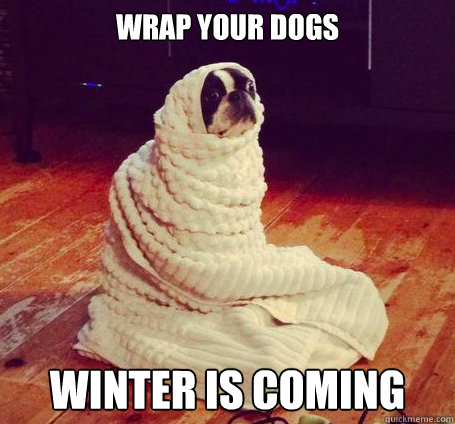 wrap your dogs winter is coming - wrap your dogs