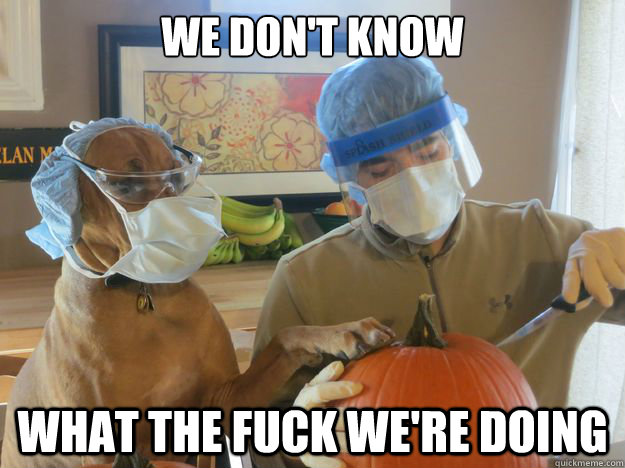 we dont know what the fuck were doing -