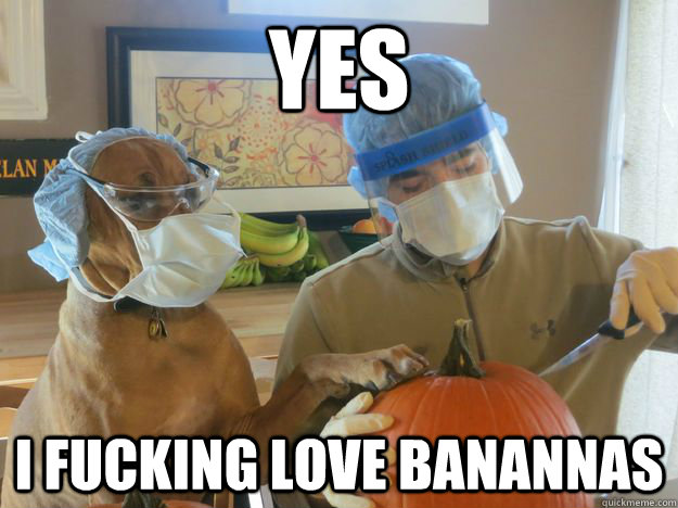 yes i fucking love banannas -