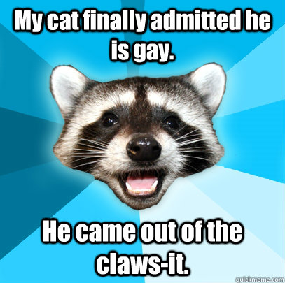 my cat finally admitted he is gay he came out of the claws - Lame Pun Coon