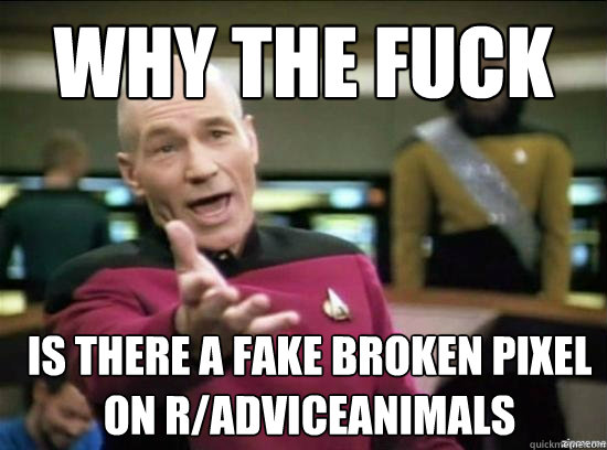 why the fuck is there a fake broken pixel on radviceanimals - Annoyed Picard HD