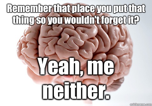 Remember that place you put that thing so you wouldnt forget - Scumbag Brain