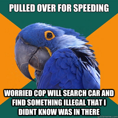 pulled over for speeding worried cop will search car and fin - Paranoid Parrot