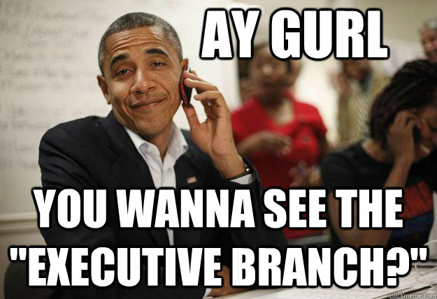ay gurl you wanna see the executive branch -