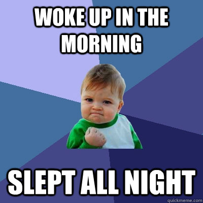 woke up in the morning slept all night - Success Kid