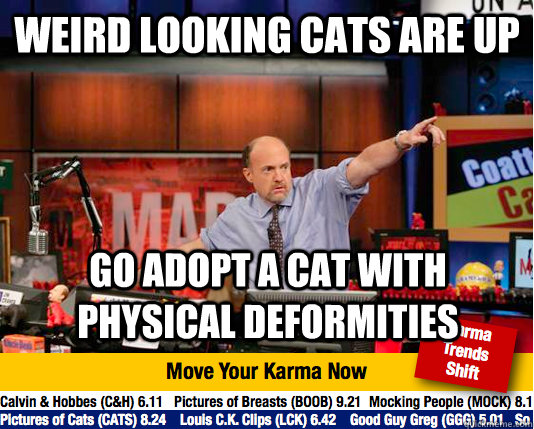 weird looking cats are up go adopt a cat with physical defor - Mad Karma with Jim Cramer