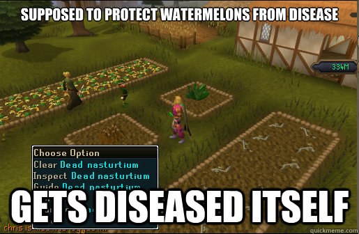 supposed to protect watermelons from disease gets diseased i - Scumbag Nasturtium