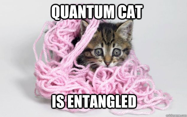 quantum cat is entangled - Quantum CAt