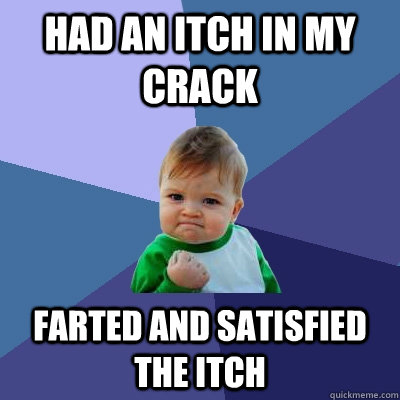 had an itch in my crack farted and satisfied the itch - Success Kid