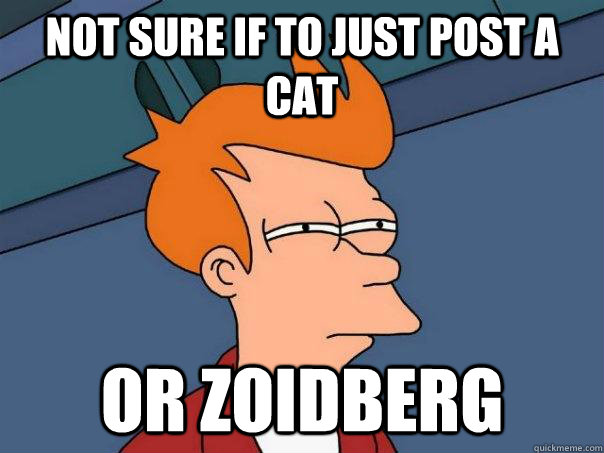not sure if to just post a cat or zoidberg - Futurama Fry