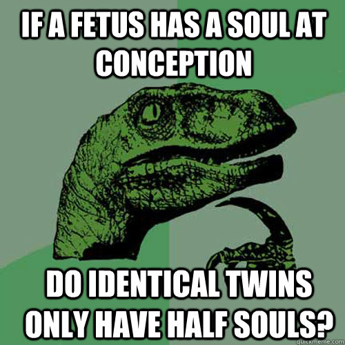 if a fetus has a soul at conception do identical twins only - Philosoraptor