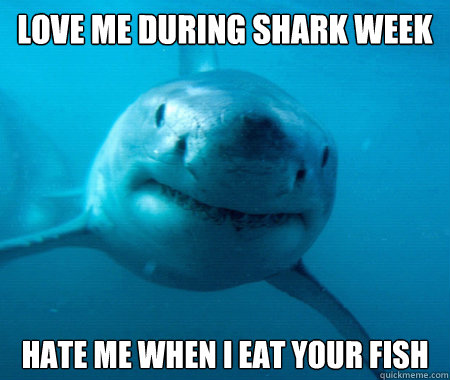 shark love me