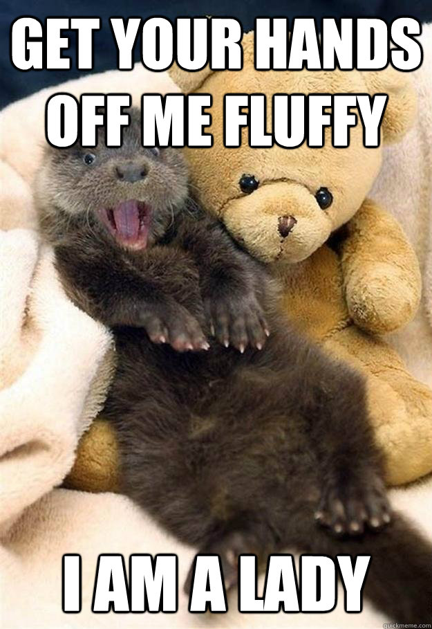 get your hands off me fluffy i am a lady -