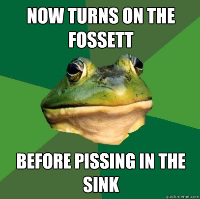 Fossett Sink