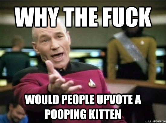 why the fuck would people upvote a pooping kitten - Annoyed Picard HD