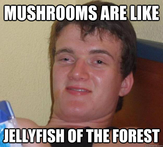 mushrooms are like jellyfish of the forest - 10 Guy