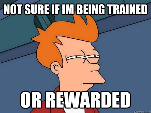 not sure if im being trained or rewarded - Futurama Fry