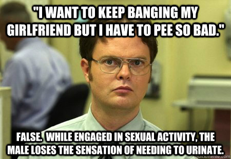 i want to keep banging my girlfriend but i have to pee so b - Dwight Schrute