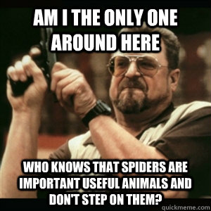 am i the only one around here who knows that spiders are imp - Am I The Only One Round Here