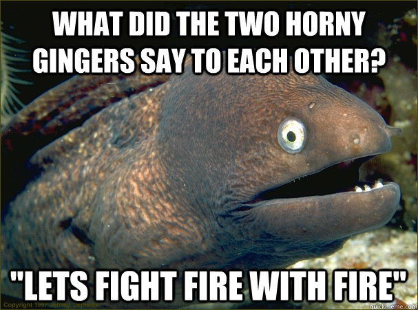 what did the two horny gingers say to each other lets figh - Bad Joke Eel