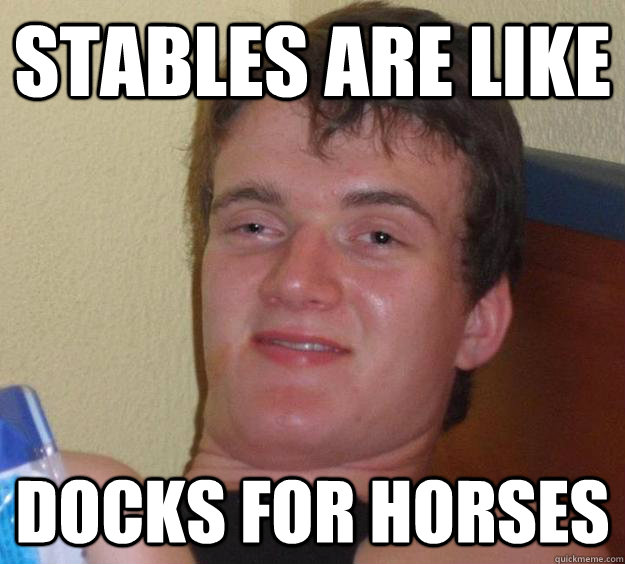 stables are like docks for horses - 10 Guy