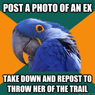 post a photo of an ex take down and repost to throw her of t - Paranoid Parrot