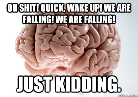 oh shit quick wake up we are falling we are falling jus - Scumbag Brain