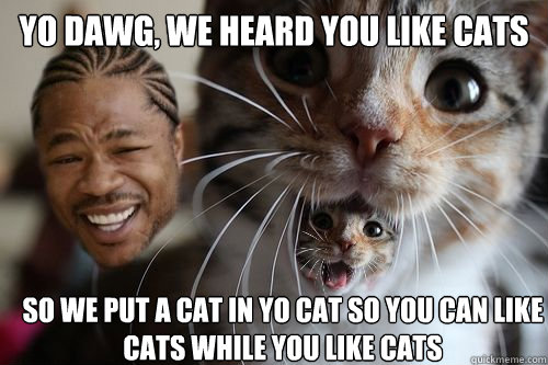 yo dawg we heard you like cats so we put a cat in yo cat so - Yo dawg, we heard you like cats