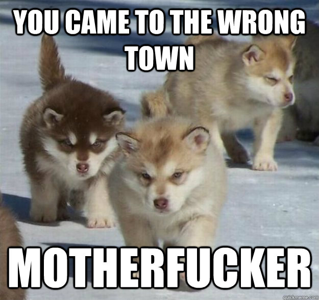 you came to the wrong town motherfucker - wrongtown
