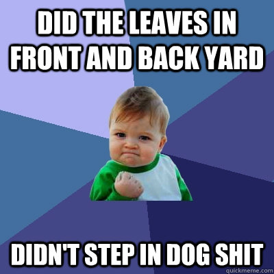 did the leaves in front and back yard didnt step in dog shi - Success Kid