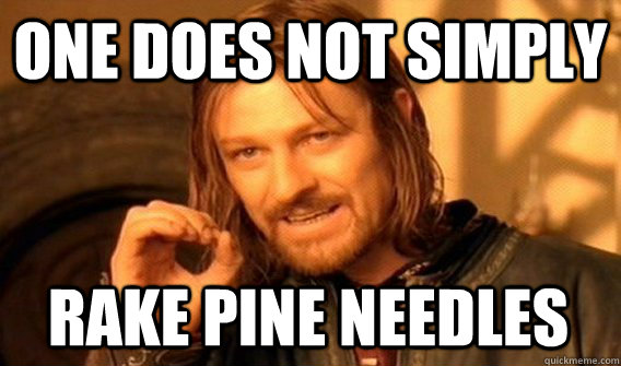 one does not simply rake pine needles - One Does Not Simply