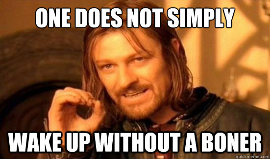 one does not simply wake up without a boner - Boromir