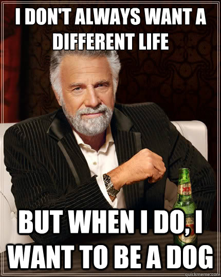 i dont always want a different life but when i do i want t - The Most Interesting Man In The World
