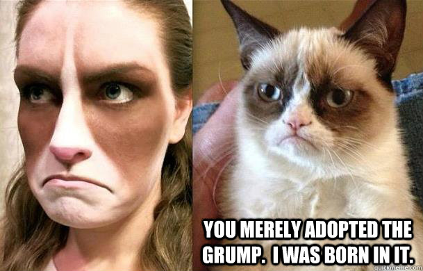 you merely adopted the grump i was born in it -