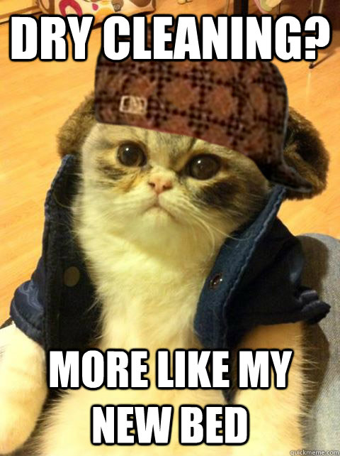 dry cleaning more like my new bed - Scumbag Cat