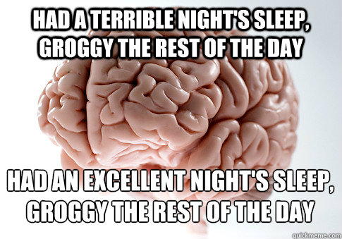 had a terrible nights sleep groggy the rest of the day had - Scumbag Brain
