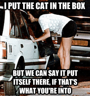 i put the cat in the box but we can say it put itself there - Karma Whore