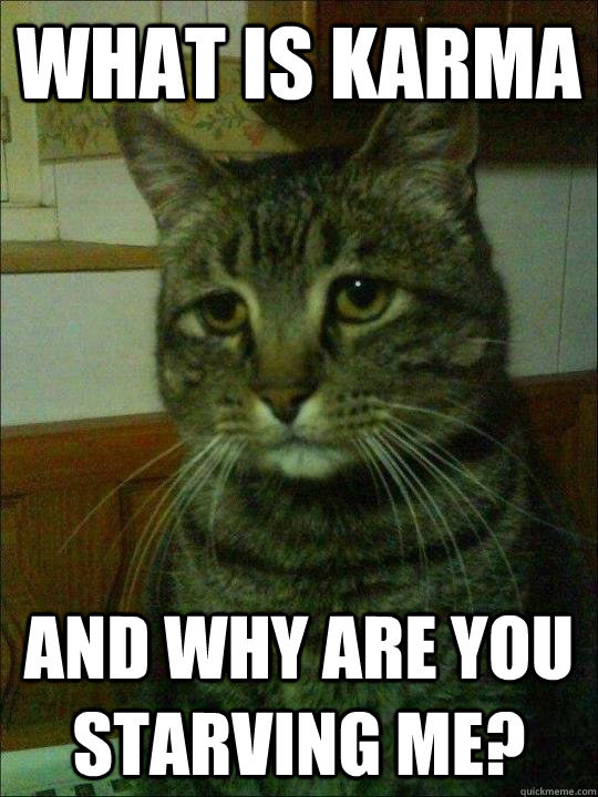 what is karma and why are you starving me -