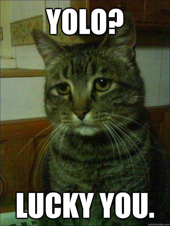 yolo lucky you -