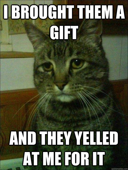 i brought them a gift and they yelled at me for it - Depressed cat