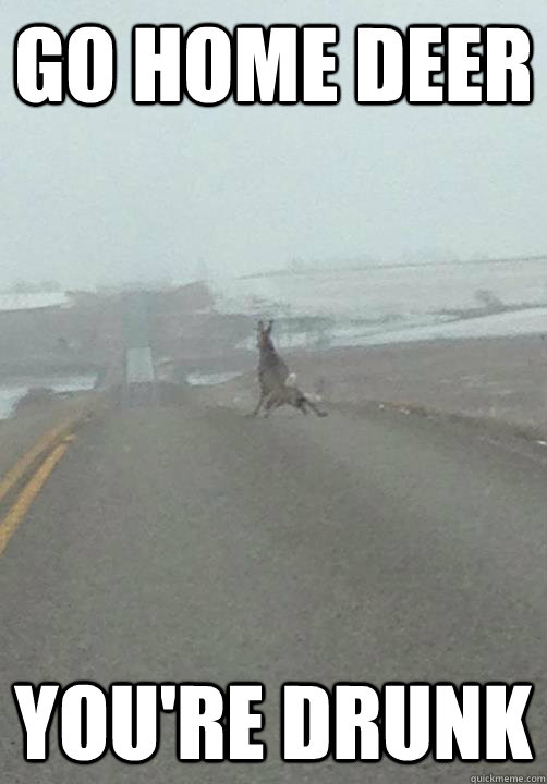 go home deer youre drunk -