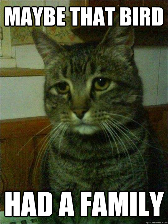 maybe that bird had a family -