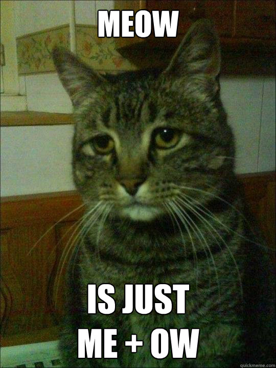 meow is just me ow -