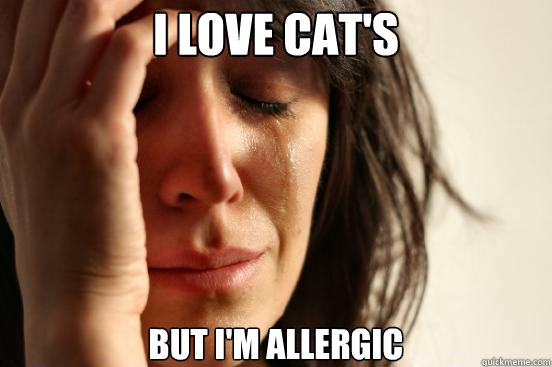 i love cats but im allergic - First World Problems
