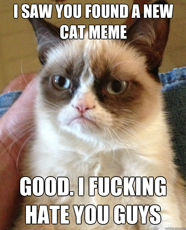 i saw you found a new cat meme good i fucking hate you guys - Grumpy Cat