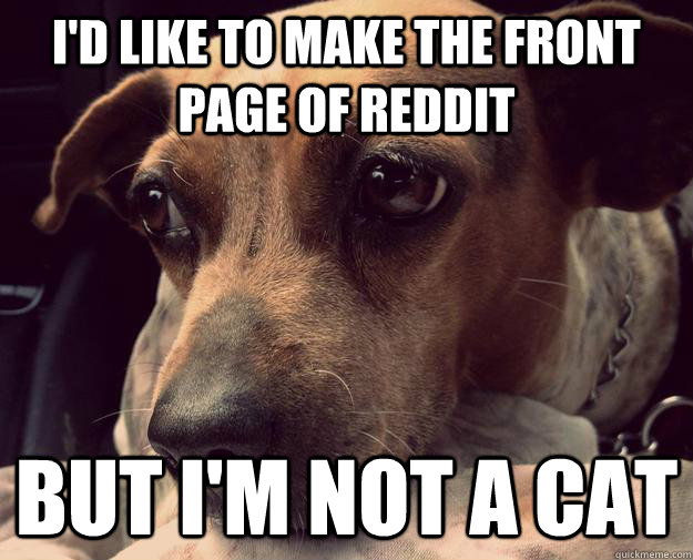 id like to make the front page of reddit but im not a cat - Depressed Dog