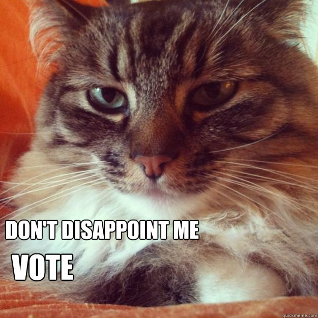 dont disappoint me vote - VoteCat